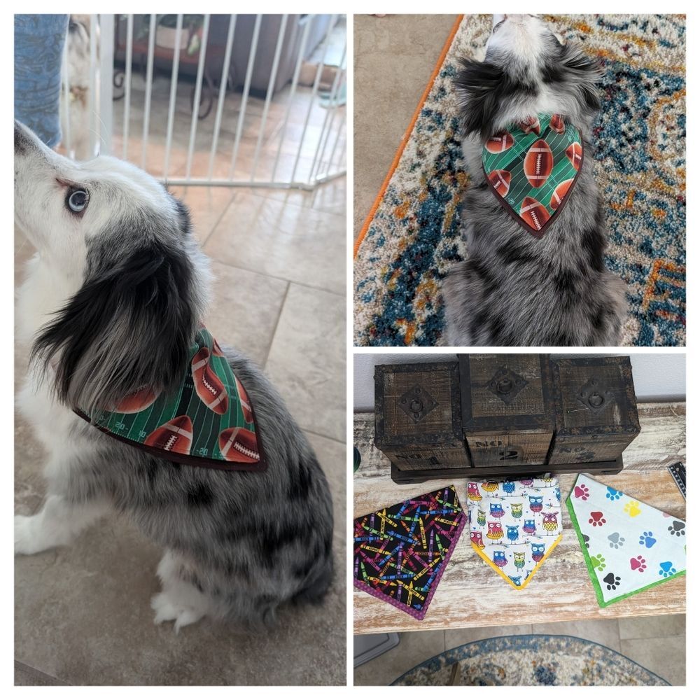 Hand Crafted Over the Collar Pet/Dog Bandanas Set of 3 Size Large